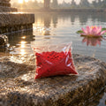 Siddh Mahalakshmi Akarshan Kumkum Tilak