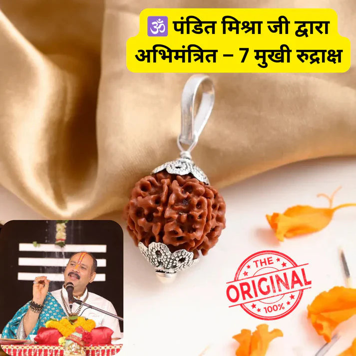 Natural 7 Mukhi Rudraksha {Nepali}