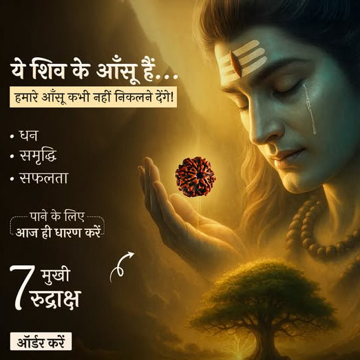 Natural 7 Mukhi Rudraksha {Nepali}